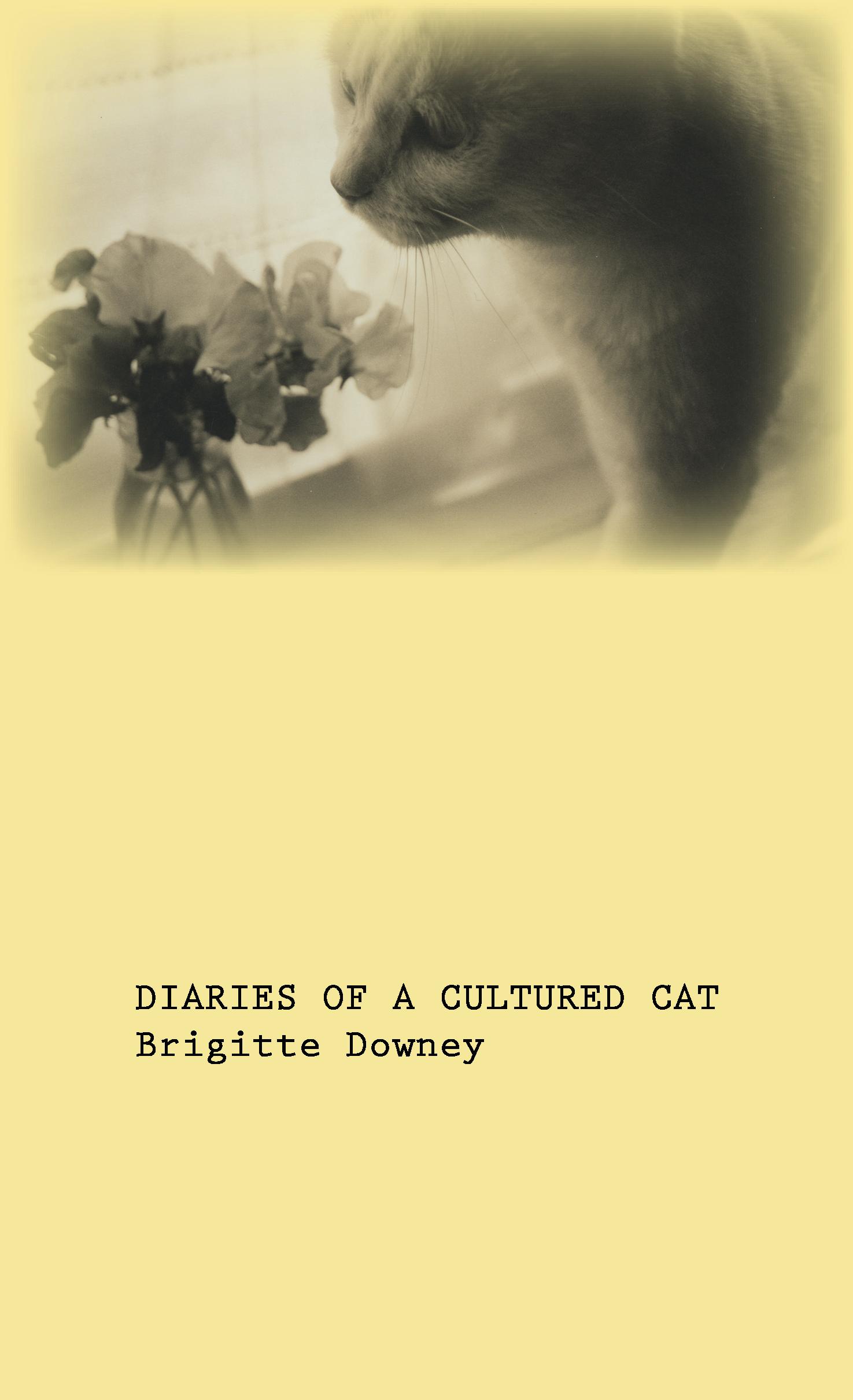 Click for the first chapter